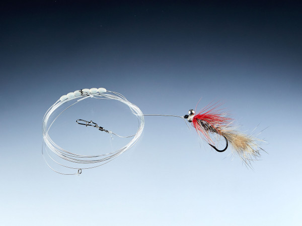 Balzer Meerforellen System Polar Magnus