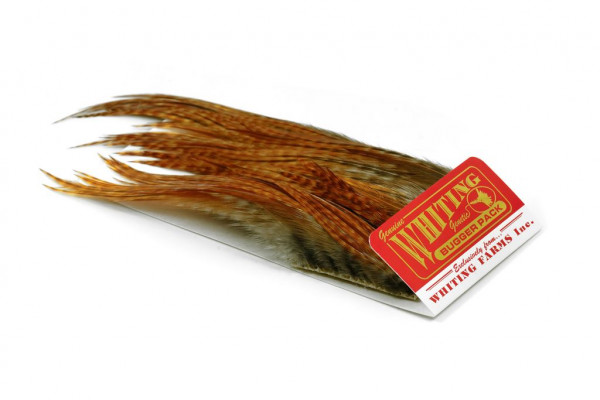 Whiting Bugger Pack Barred Dark Ginger