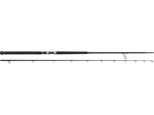 WESTIN W2 ROCKSHORE APEX PREDATOR 9'6"/290CM ML 15-60G 2SEC