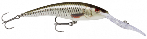 RAPALA Deep Tail Dancer 11 Live Roach (ROL)