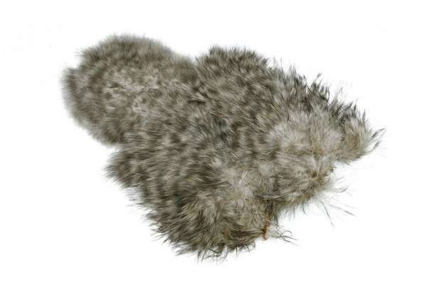 Whiting Spey SH/C Grizzly dyed Tan