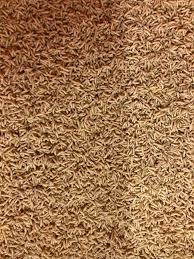 Hansaa Angelmaden Liter