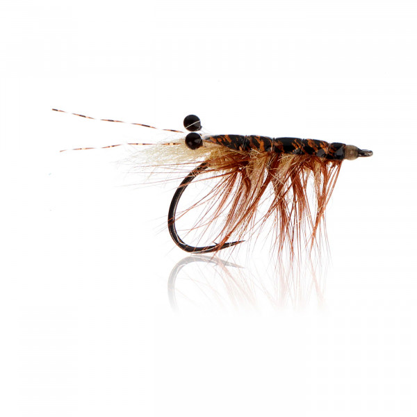 Polarrejen - Tan Gr. 4