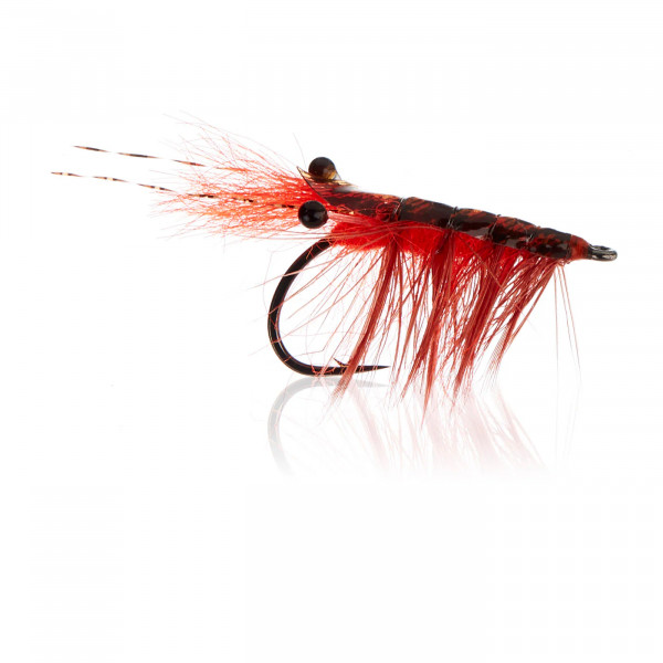 Polarrejen - Fire Orange Gr.4