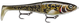 RAPALA X-Rap PetoArtistic Burbot