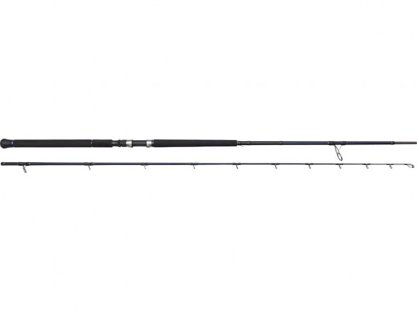 WESTIN W2 ROCKSHORE APEX PREDATOR 9'6"/290CM ML 15-60G 2SEC