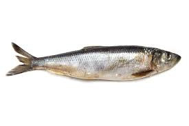 Hering gefroren 1 St.