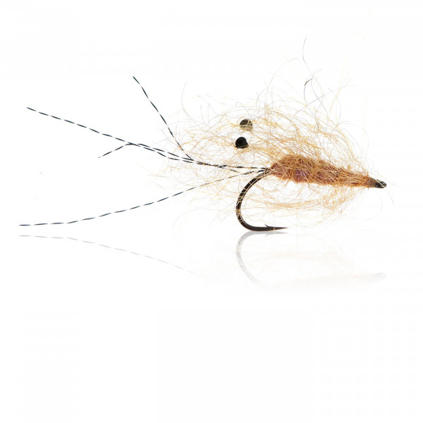 Krystal Shrimp - Tan Gr.4