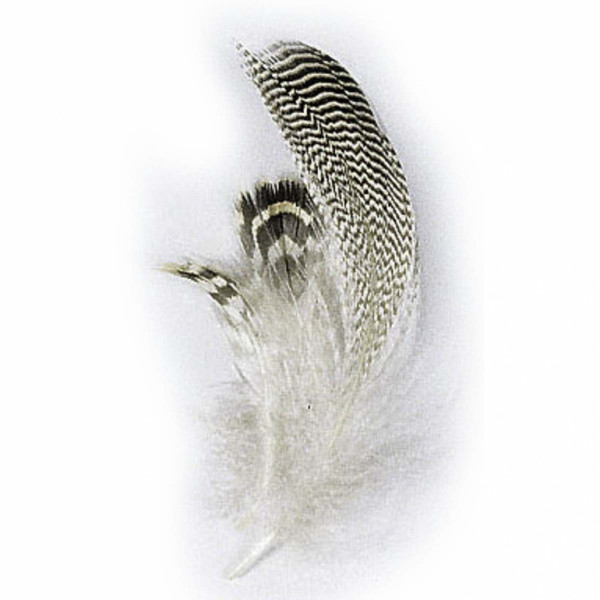 JMC Krickentenfeder natur