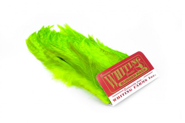 Whiting Bugger Pack White dyed Fl. Green Chartreuse
