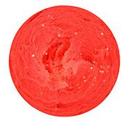 Trout Master PRO PASTE GARLIC FLUO RED