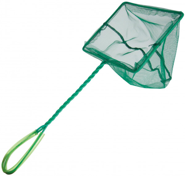 RAGOT EPUISETTE A VIFS VERTE 12X15CM