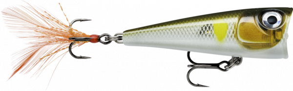 RAPALA X-LIGHT POP FNP04 AYU