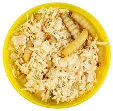 HANSA Bienenmaden Dose (ca. 25 Stück)