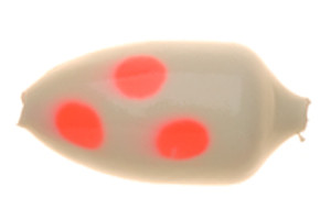 Kalles Angelshop Spezial Buttvorfach mit Winner™ Bodies Gr. 12 (LUSP) Haken Gr.1-