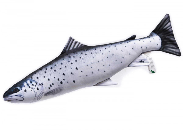 Gaby Fish Stofffisch Meerforelle 51cm