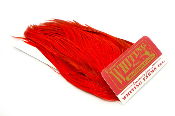 Whiting Bugger Pack White dyed Orange