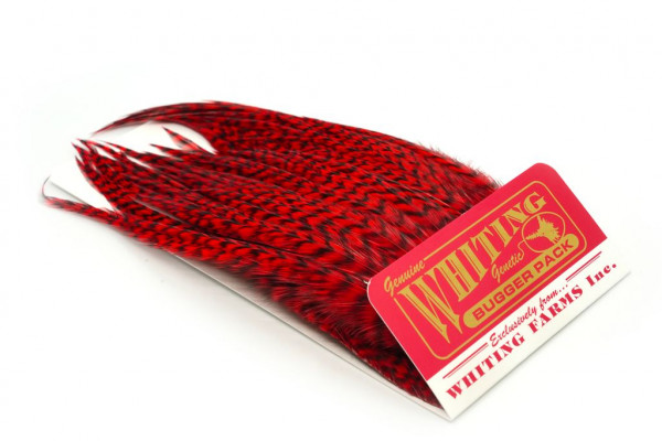 Whiting Bugger Pack Grizzly dyed Red