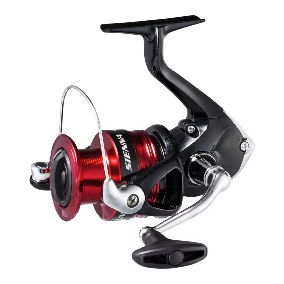 SHIMANO Rolle Sienna FG 4000