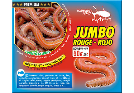 JUMBO ROT Seeringelwürmer 50g