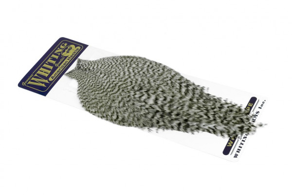 Whiting Farms American Rooster Cape Grizzly