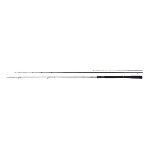 Shimano Ruten Aero X1A Carp Feeder 2,74m 9'0" 50g 2pc+tips