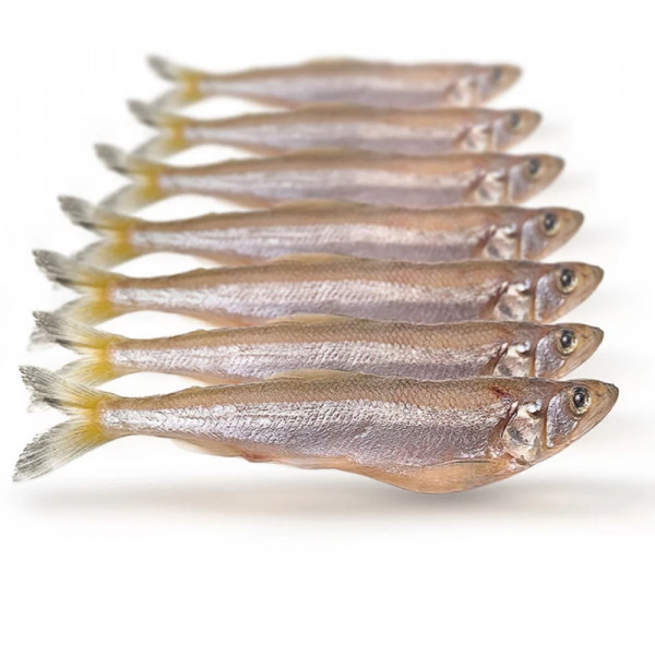 HANSA Ostseestint gefroren ca.100g