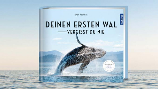 Deinen erster Wal vergisst du nie, Kiefner