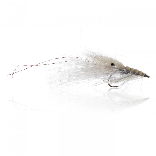 Pattegrisen - Grizzly Gr.4