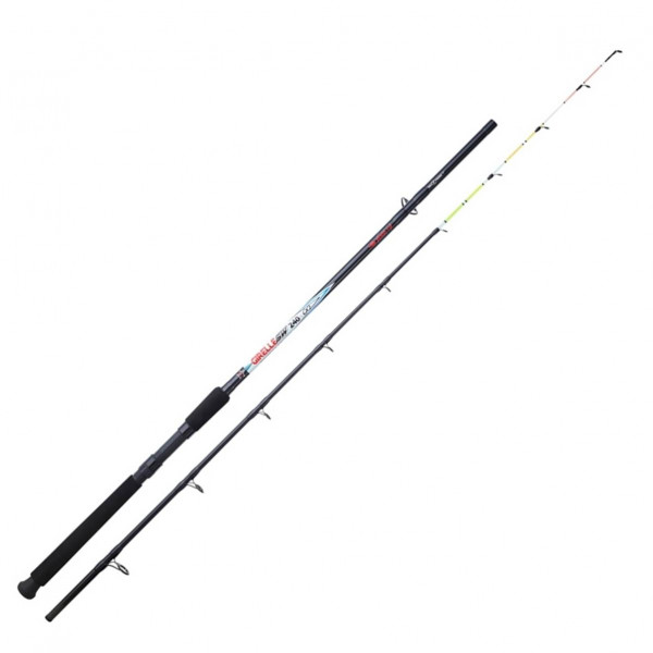 Sanset ENS GIRELLE SW 180-2 (60/120g) + SUNHOPPER SWF 501 FD