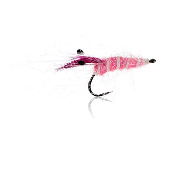 Panic Shrimp.Pink Gr.6