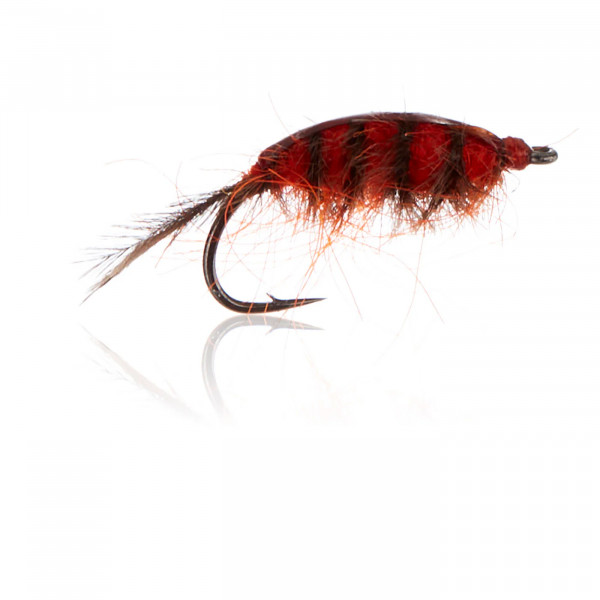 Gammariden - Orange Gr.10