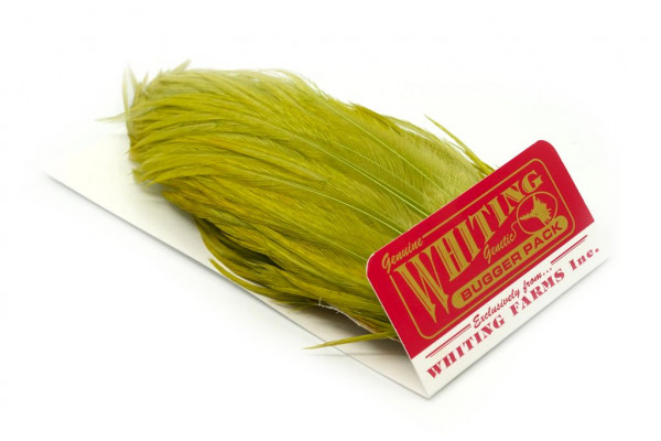 Whiting Bugger Pack White dyed Olive